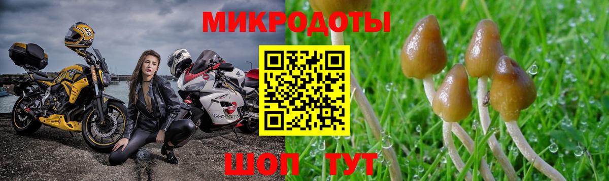 Сургут  Псилоцибиновые грибы Magic Shrooms  Вход с VPN 