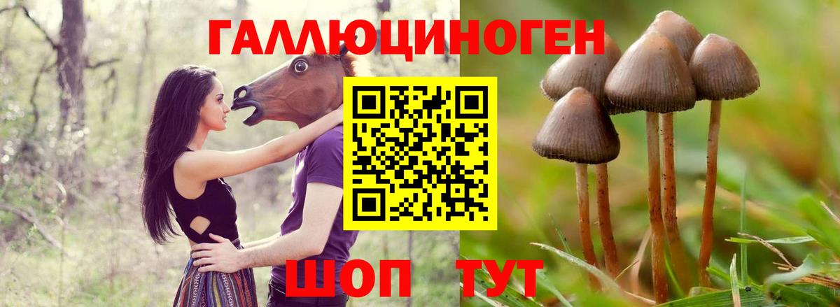 Псилоцибиновые грибы прущие грибы Сургут